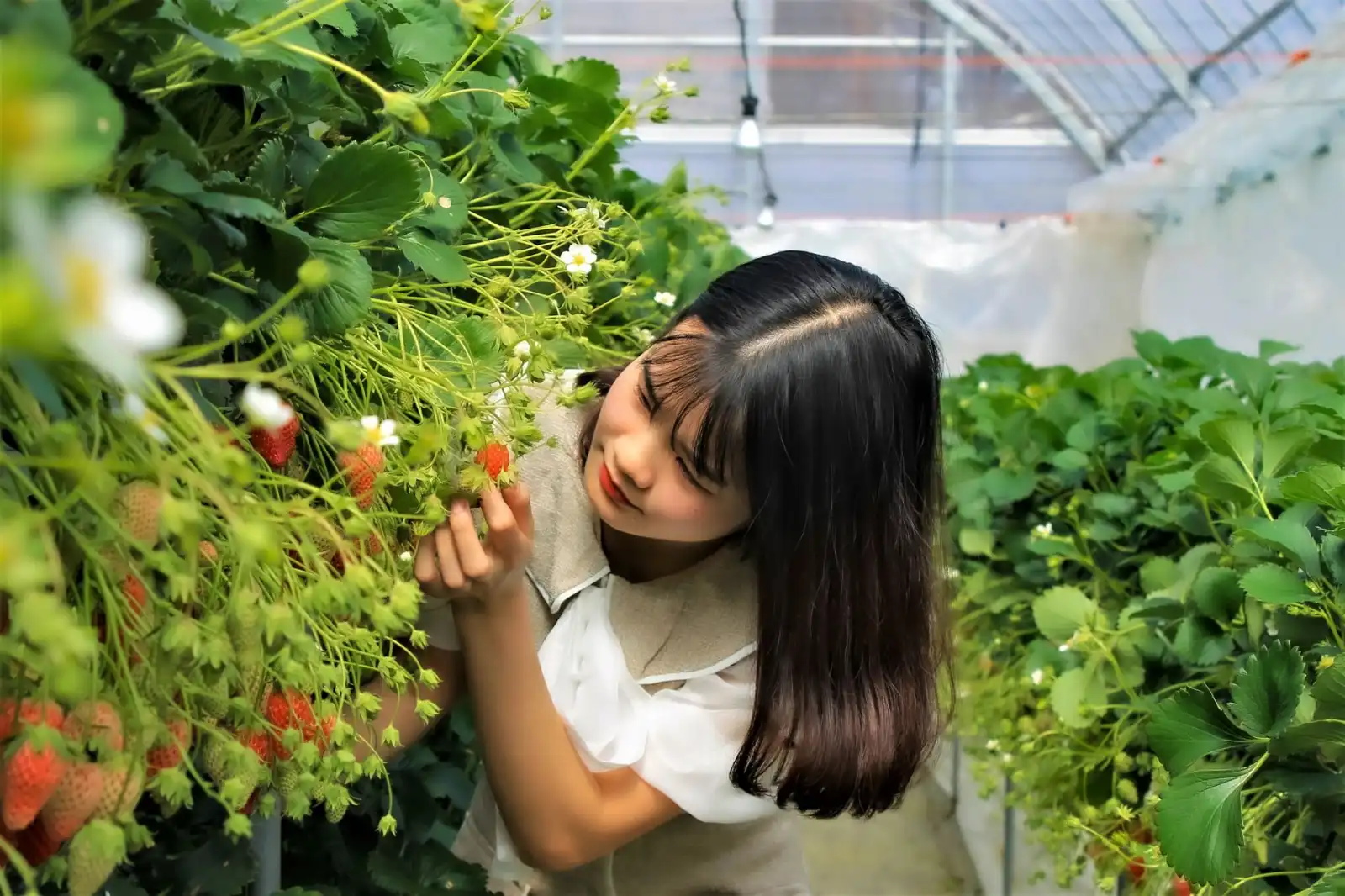 升来教育科技中心教学仪器选型对比：理化生实验室设备参数与报价